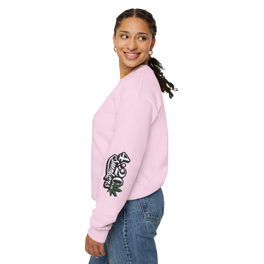 I Don't Care Bear Sweatshirt — Funny Graphic Crewneck