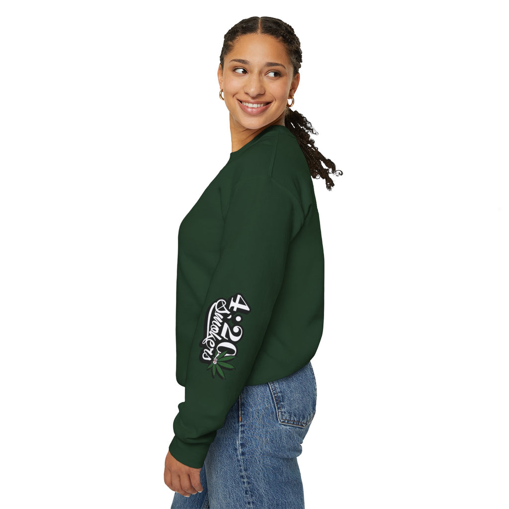 I Don't Care Bear Sweatshirt — Funny Graphic Crewneck